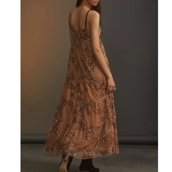 Anthropologie Bloggers Favorite Sequin Tulle Maxi Dress Small - Picture 2 of 14